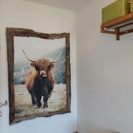 Dolomitenhome 公寓