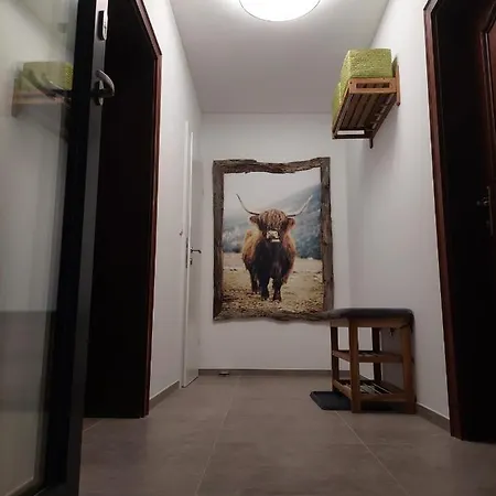 アパート Dolomitenhome